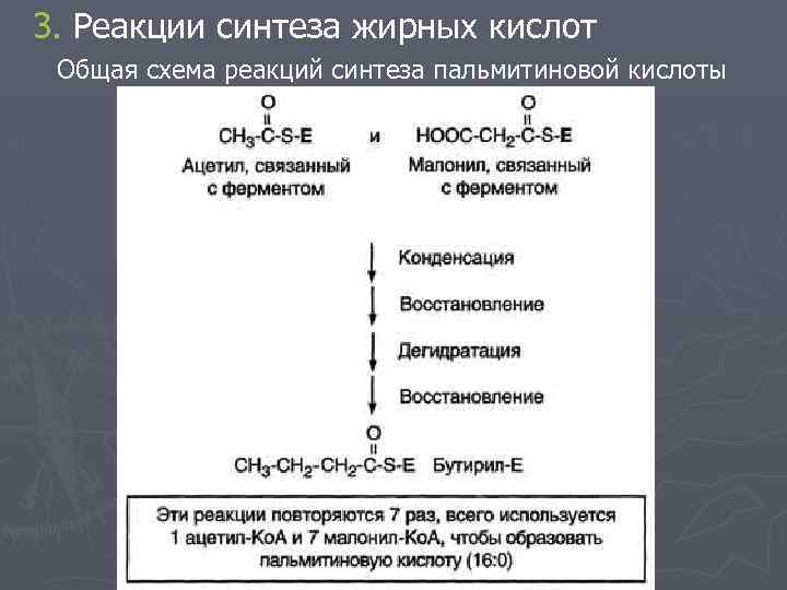 Синтез пальмитиновой кислоты