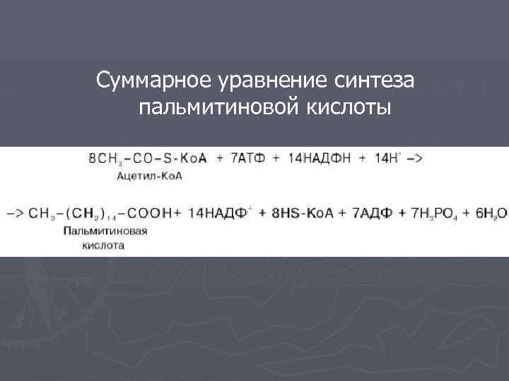 Уравнение синтеза. Суммарное уравнение β-окисления пальмитиновой кислоты.. Суммарное уравнение бета окисления жирных кислот. Суммарное уравнение бета окисления. Суммарное уравнение окисления пальмитиновой кислоты.