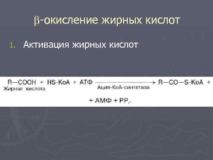  -окисление жирных кислот 1. Активация жирных кислот 