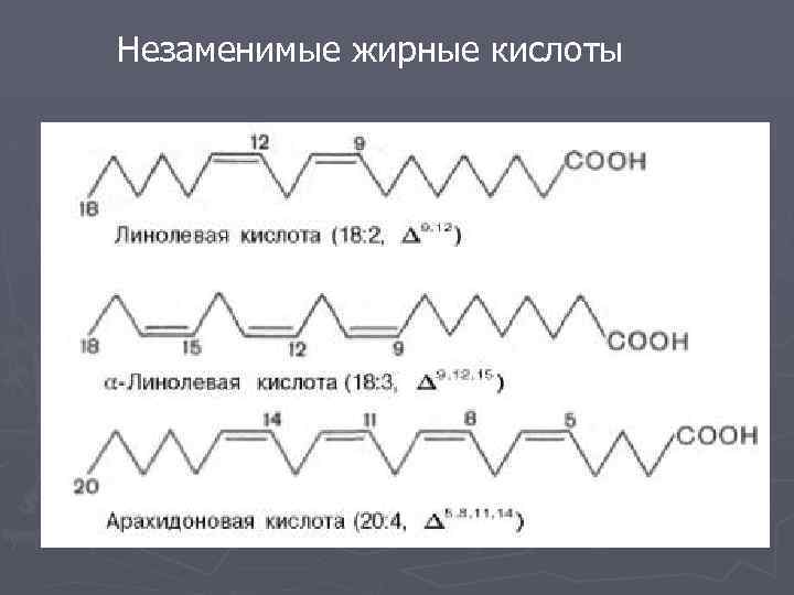 Незаменимые жирные кислоты 