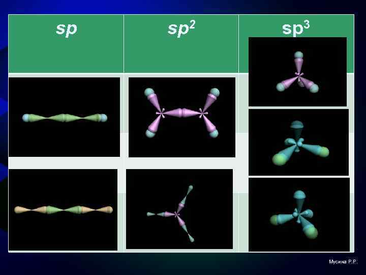 sp sp 2 sp 3 Мусина Р. Р. 