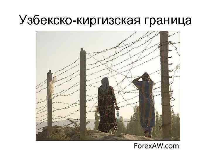 Узбекско-киргизская граница 