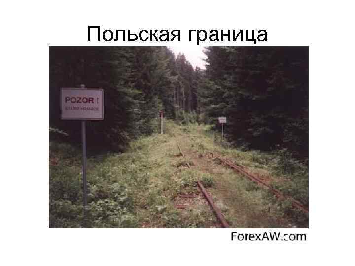Польская граница 