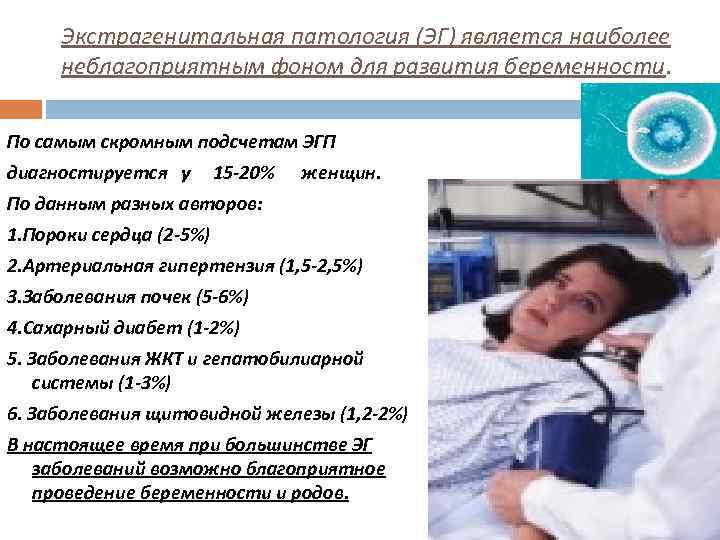 Экстрагенитальная патология (ЭГ) является наиболее неблагоприятным фоном для развития беременности. По самым скромным подсчетам