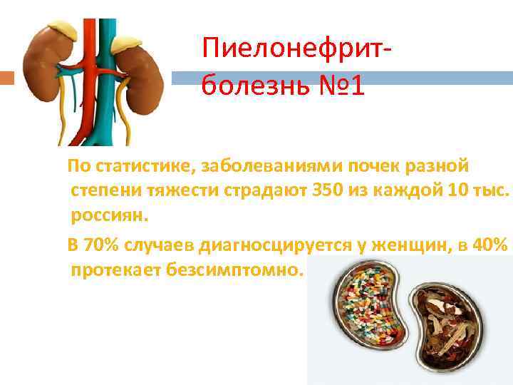 Пиелонефритболезнь № 1 По статистике, заболеваниями почек разной степени тяжести страдают 350 из каждой