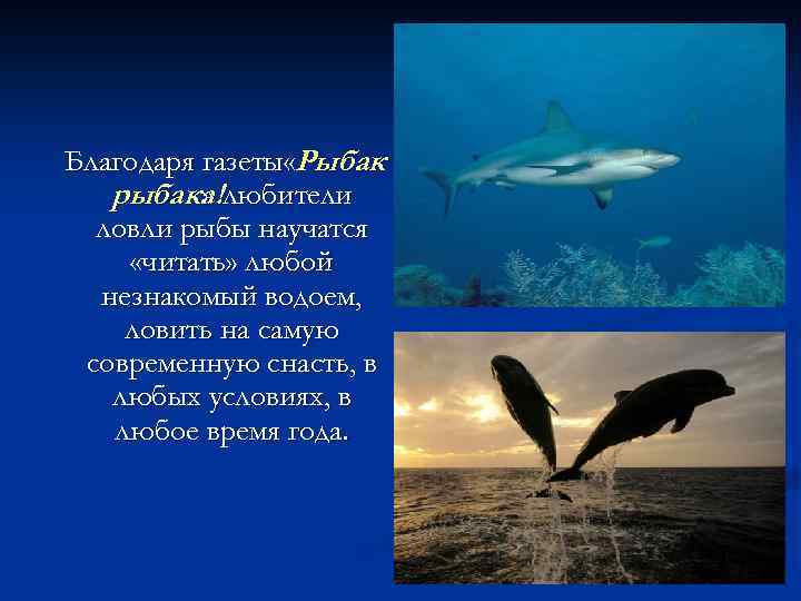 Благодаря газеты «Рыбак рыбака!любители » ловли рыбы научатся «читать» любой незнакомый водоем, ловить на