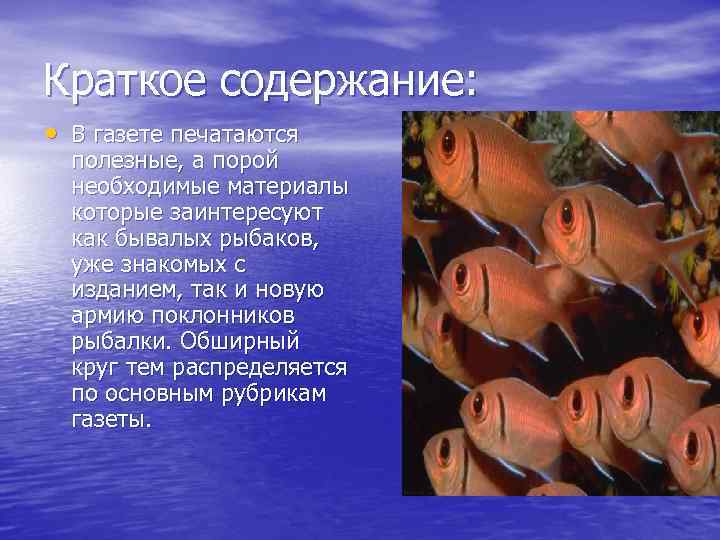 Краткое содержание: • В газете печатаются полезные, а порой необходимые материалы которые заинтересуют как