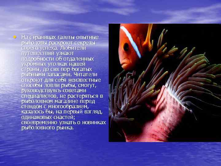  • На страницах газеты опытные рыболовы раскроют секреты своего успеха. Любители путешествий узнают