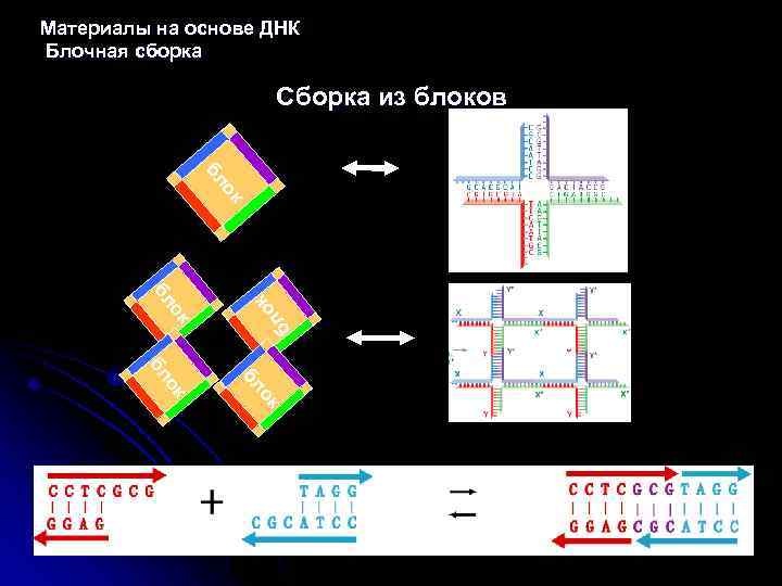 Материалы на основе ДНК Блочная сборка Сборка из блоков б ок л ок бл