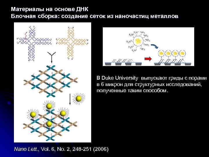 Материалы на основе ДНК Блочная сборка: создание сеток из наночастиц металлов В Duke University