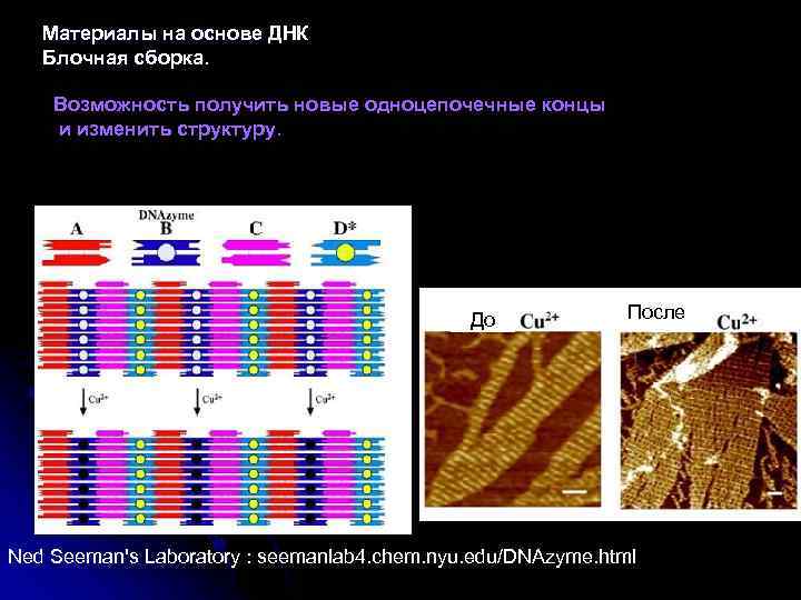 Материалы на основе ДНК Блочная сборка. Возможность получить новые одноцепочечные концы и изменить структуру.