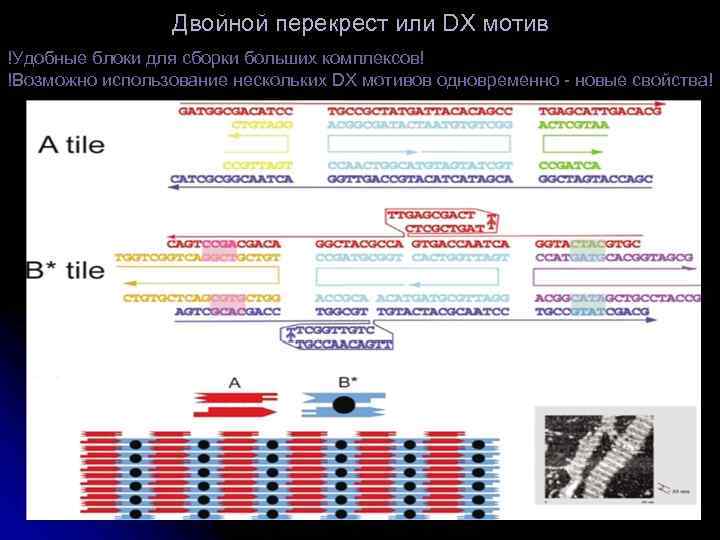 Двойной перекрест или DX мотив !Удобные блоки для сборки больших комплексов! !Возможно использование нескольких