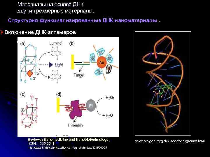  Материалы на основе ДНК дву- и трехмерные материалы. дву- и Структурно-функциализированные ДНК-наноматериалы. ØВключение