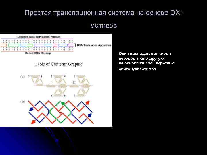 Простая трансляционная система на основе DX- мотивов Одна последовательность переводится в другую на основе