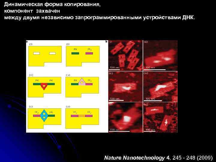 Динамическая форма копирования, компонент захвачен между двумя независимо запрограммированными устройствами ДНК. Nature Nanotechnology 4,