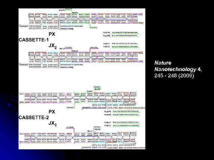 Nature Nanotechnology 4, 245 - 248 (2009) 