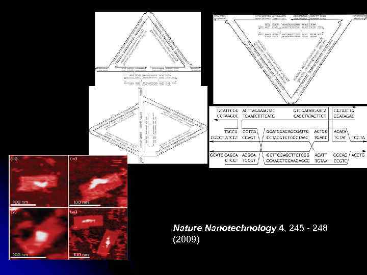 Nature Nanotechnology 4, 245 - 248 (2009) 