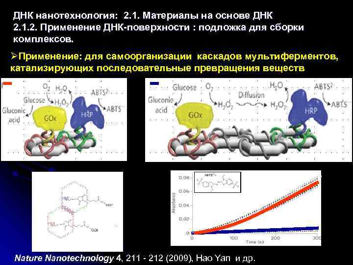 ДНК нанотехнология: 2. 1. Материалы на основе ДНК 2. 1. 2. Применение ДНК-поверхности :