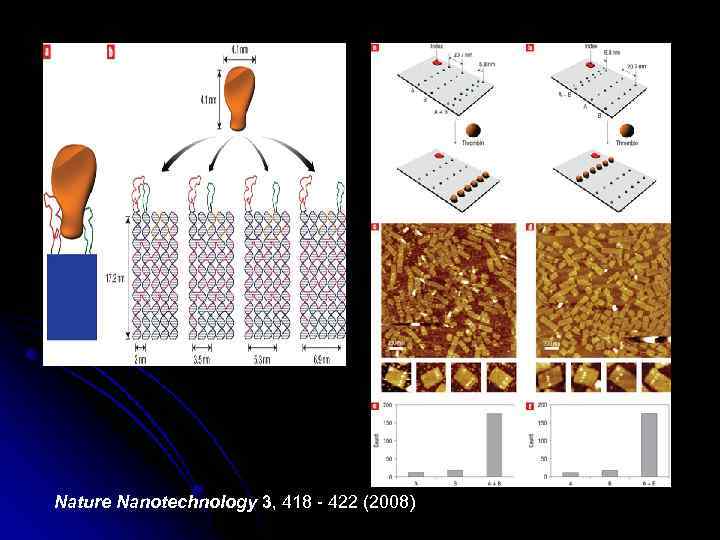 Nature Nanotechnology 3, 418 - 422 (2008) 