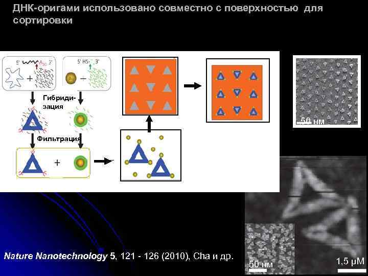 ДНК-оригами использовано совместно с поверхностью для сортировки Гибридизация 50 нм Фильтрация Nature Nanotechnology 5,