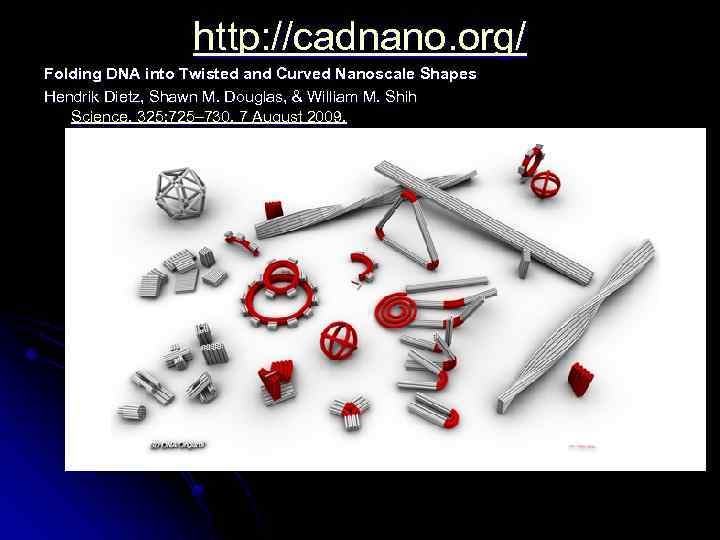 http: //cadnano. org/ Folding DNA into Twisted and Curved Nanoscale Shapes Hendrik Dietz, Shawn