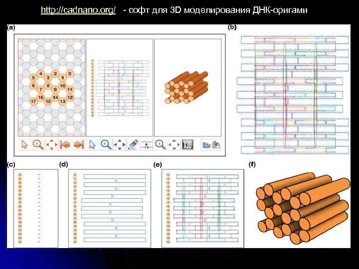 http: //cadnano. org/ - софт для 3 D моделирования ДНК-оригами 
