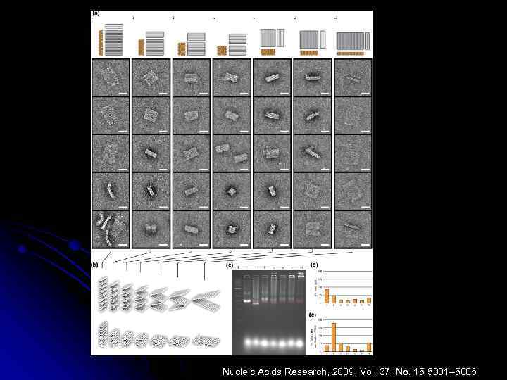 Nucleic Acids Research, 2009, Vol. 37, No. 15 5001– 5006 