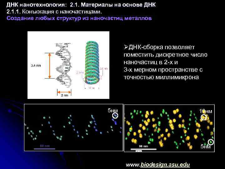 ДНК нанотехнология: 2. 1. Материалы на основе ДНК 2. 1. 1. Конъюгация с наночастицами.