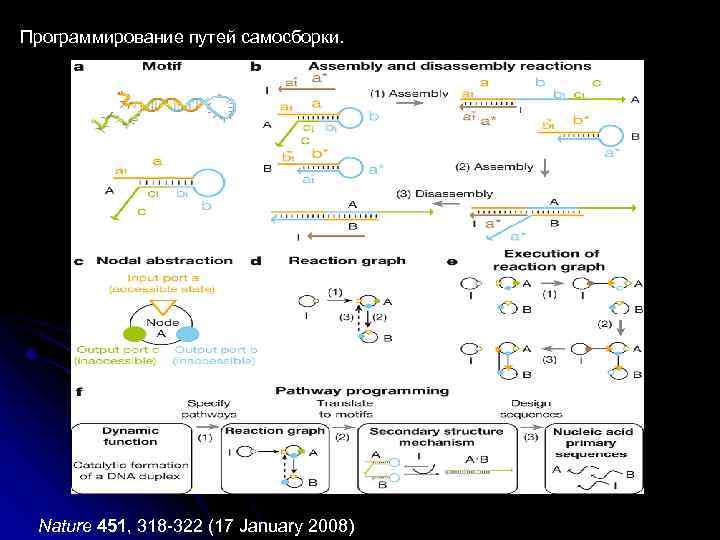 Программирование путей самосборки. Nature 451, 318 -322 (17 January 2008) 