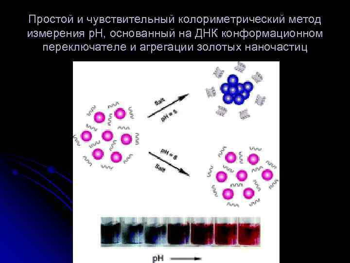 Простой и чувствительный колориметрический метод измерения p. H, основанный на ДНК конформационном переключателе и