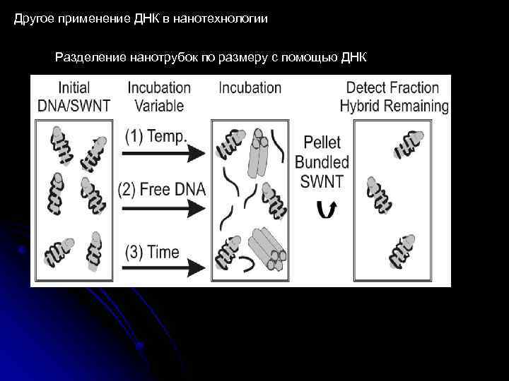 Другое применение ДНК в нанотехнологии Разделение нанотрубок по размеру с помощью ДНК 