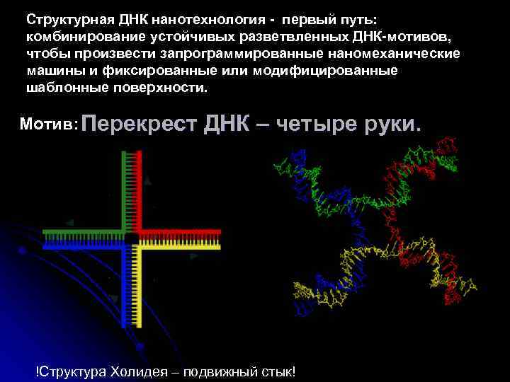 Структурная ДНК нанотехнология - первый путь: комбинирование устойчивых разветвленных ДНК-мотивов, чтобы произвести запрограммированные наномеханические