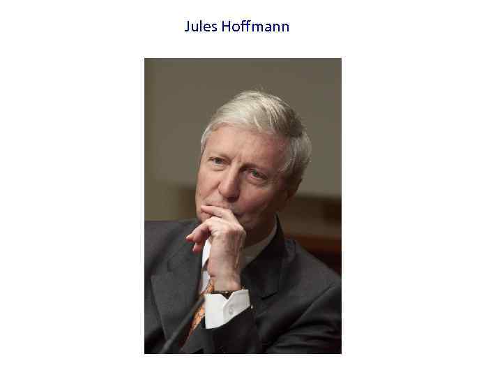Jules Hoffmann 