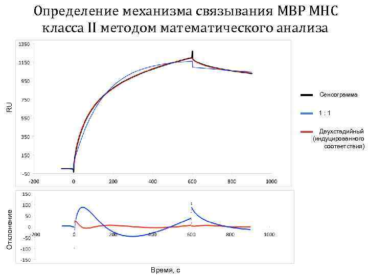 Определение механизма связывания MBP MHC класса II методом математического анализа RU Сенсограмма 1: 1