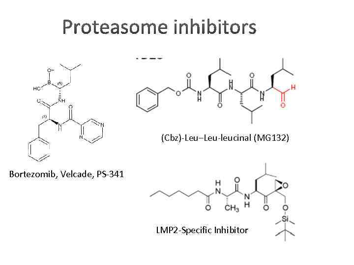 (Cbz)-Leu–Leu-leucinal (MG 132) Bortezomib, Velcade, PS-341 LMP 2 -Specific Inhibitor 