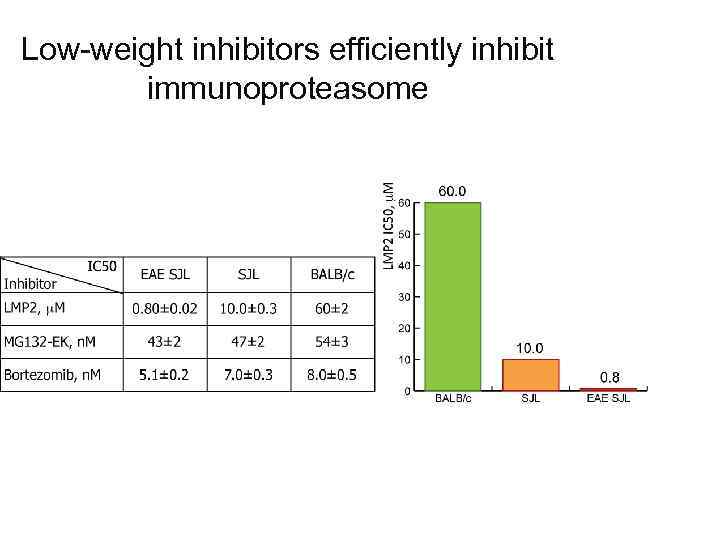 Low-weight inhibitors efficiently inhibit immunoproteasome 