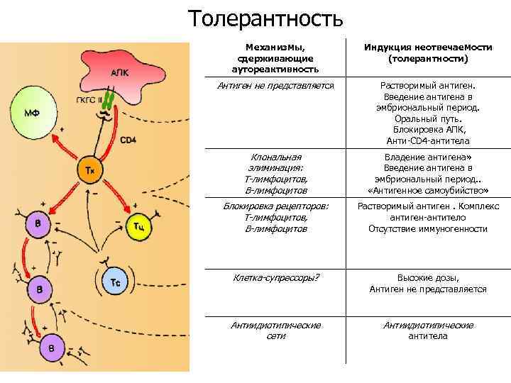 Карта иммунологического обследования