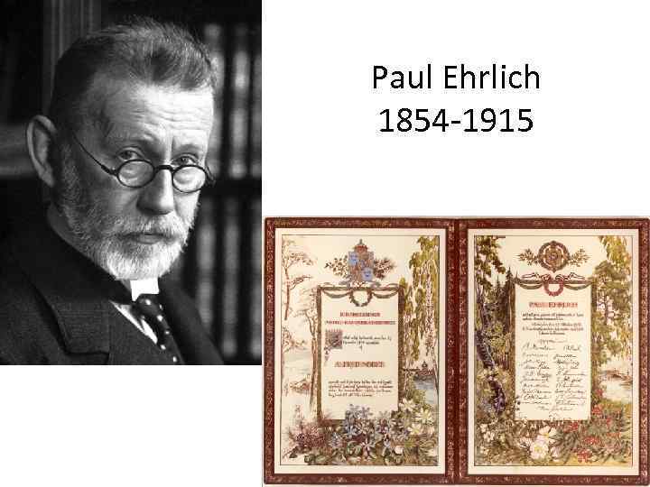 Paul Ehrlich 1854 -1915 