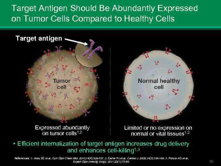 Target Antigen Should Be Abundantly Expressed on Tumor Cells Compared to Healthy Cells Target