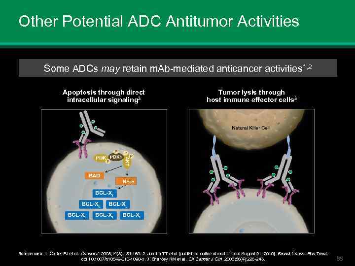 Other Potential ADC Antitumor Activities Some ADCs may retain m. Ab-mediated anticancer activities 1,