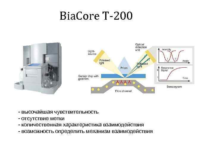 Bia. Core T-200 - высочайшая чувствительность - отсутствие метки - количественная характеристика взаимодействия -