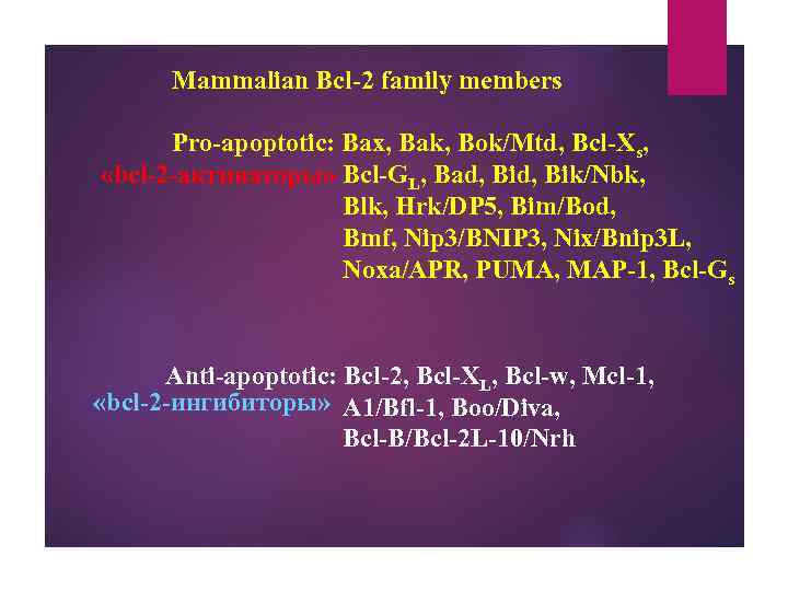 Mammalian Bcl-2 family members Pro-apoptotic: Bax, Bak, Bok/Mtd, Bcl-Xs, «bcl-2 -активаторы» Bcl-GL, Bad, Bik/Nbk,