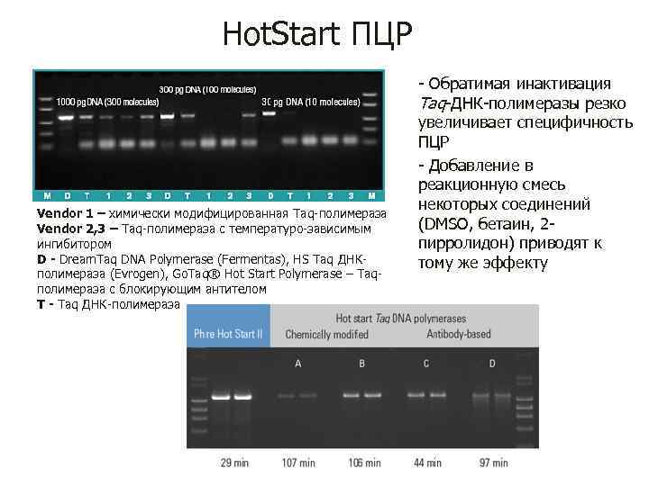 Hot. Start ПЦР Vendor 1 – химически модифицированная Taq-полимераза Vendor 2, 3 – Taq-полимераза