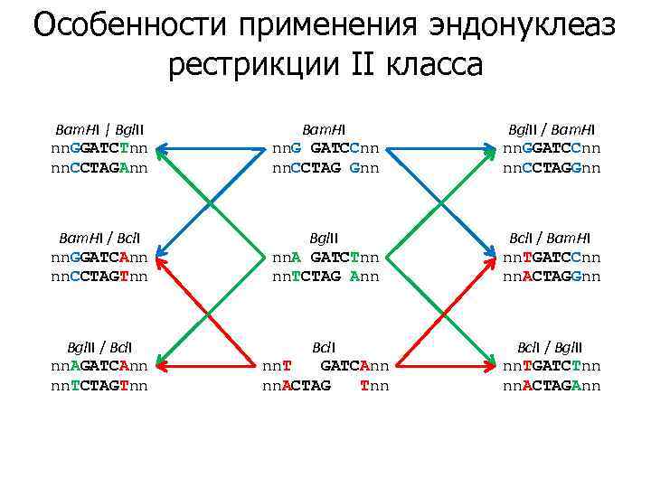Особенности применения эндонуклеаз рестрикции II класса Bam. HI | Bgl. II nn. GGATCTnn nn.