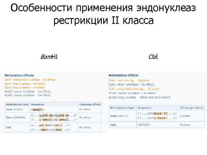 Особенности применения эндонуклеаз рестрикции II класса Bam. HI Cla. I 