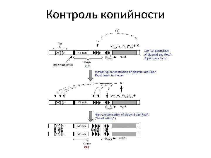 Контроль копийности 