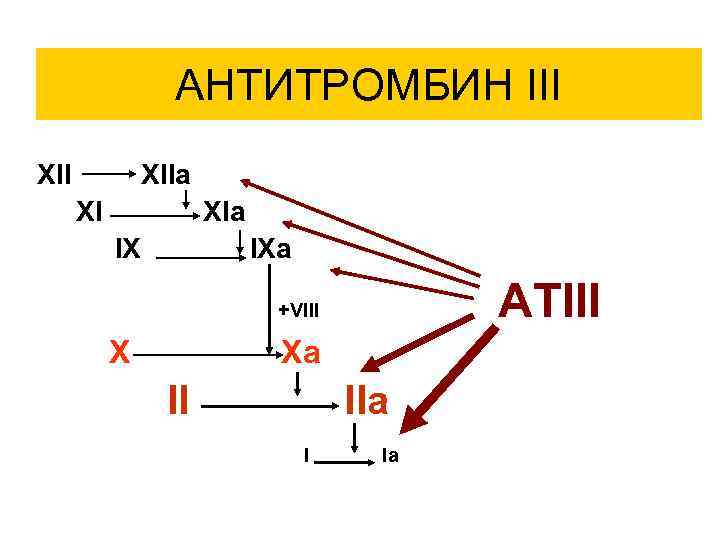 АНТИТРОМБИН III XIIa XI XIa IX IXa ATIII +VIII X Xa II IIa I
