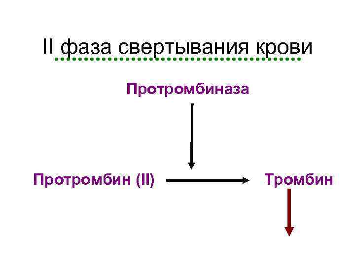 II фаза свертывания крови Протромбиназа Протромбин (II) Тромбин 