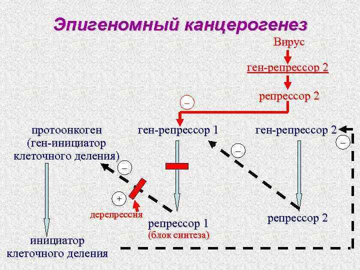 Вирусный канцерогенез