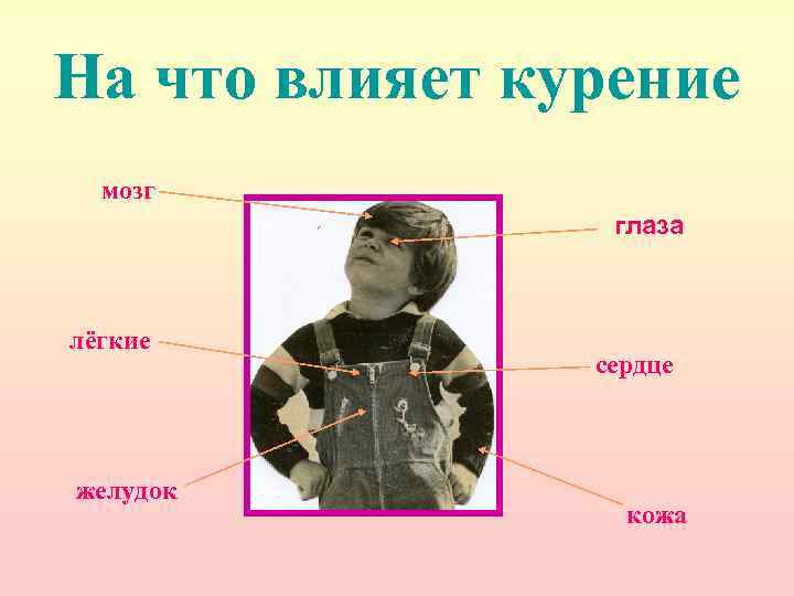 На что влияет курение мозг глаза лёгкие желудок сердце кожа 